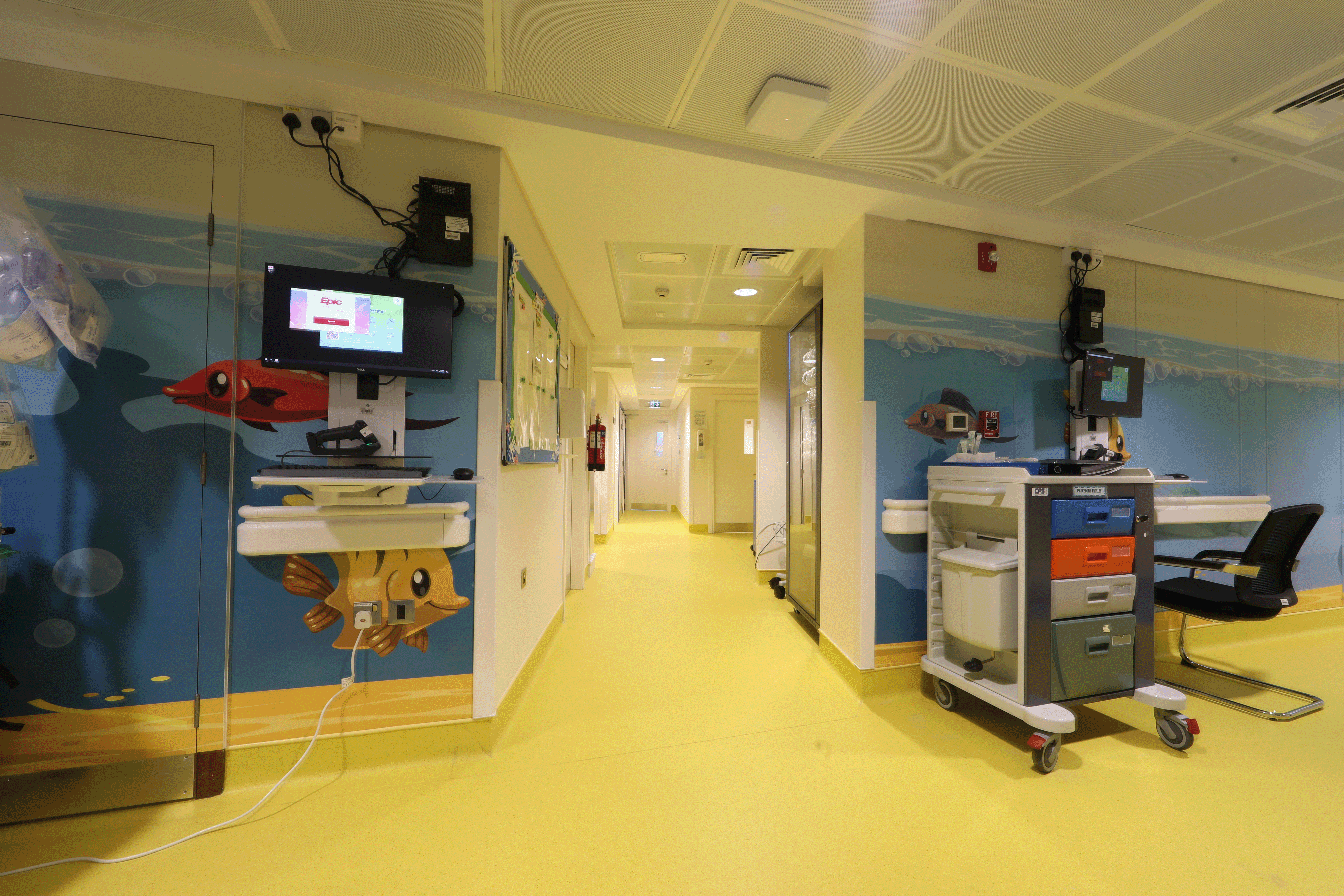 Project for Dubai Health Authority (DHA) 